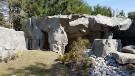 zoo_kunsfelsen_hellabrunn